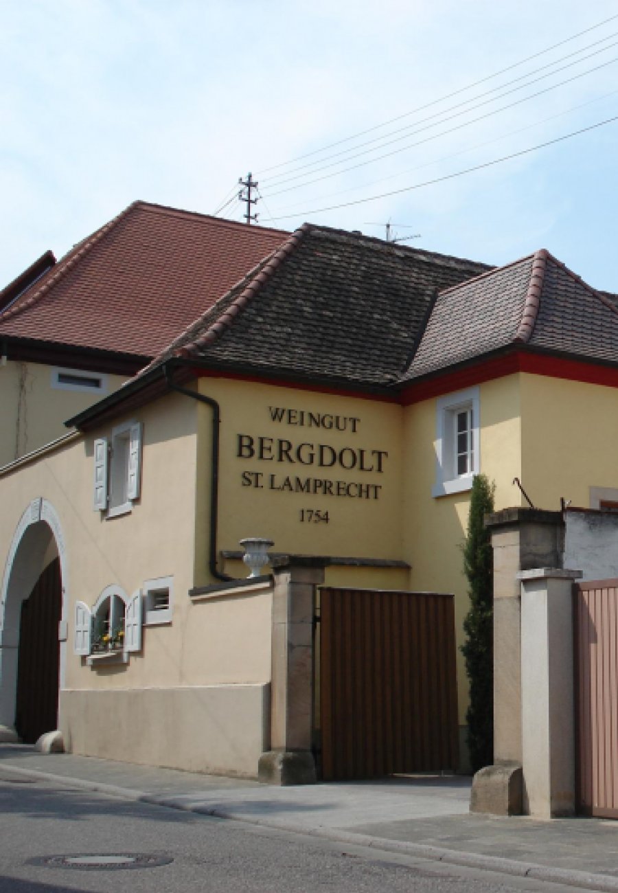 Weingut Bergdolt-117